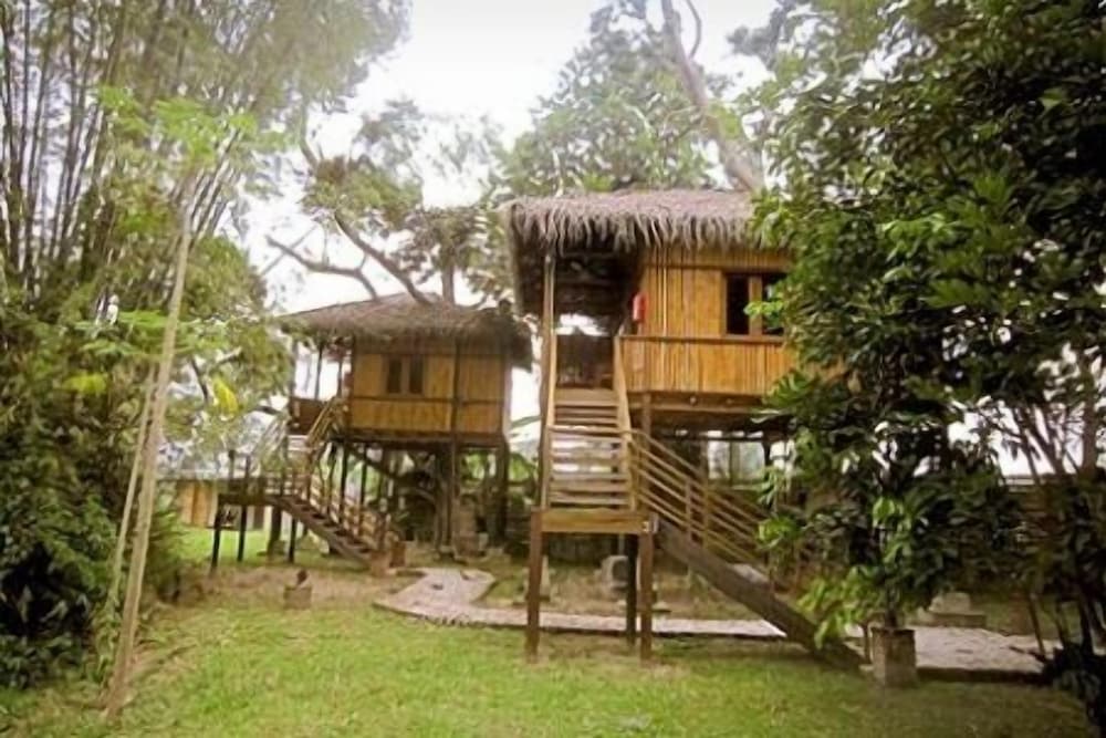 The Roots Eco Resort