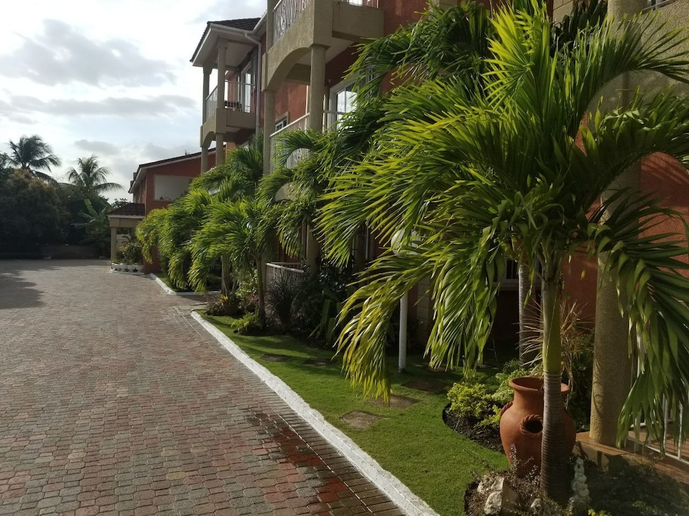 Palms of Liguanea