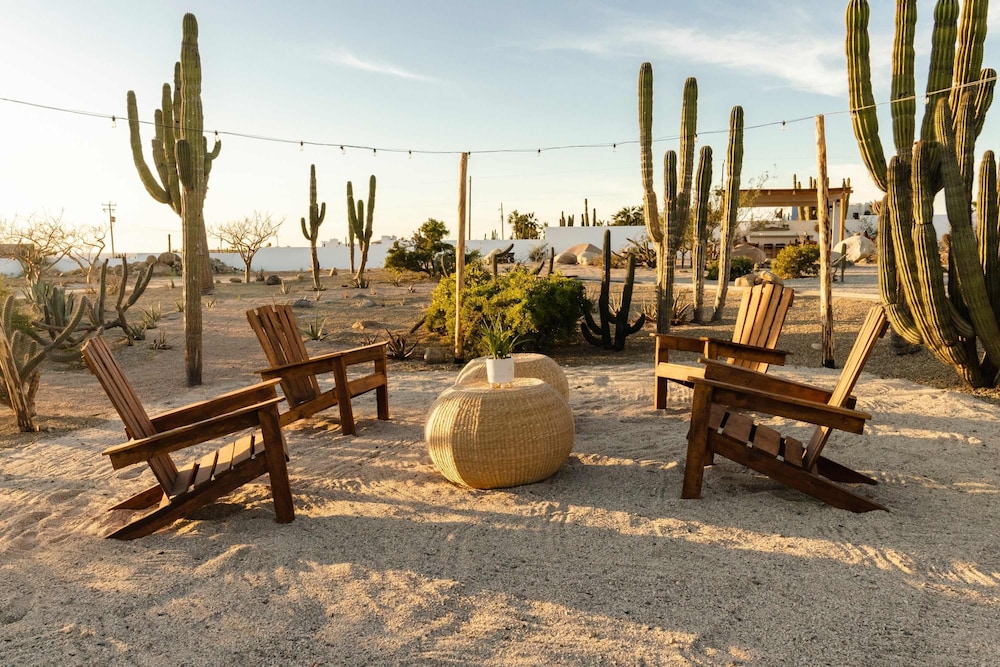 Hidden Leaf Baja Estate