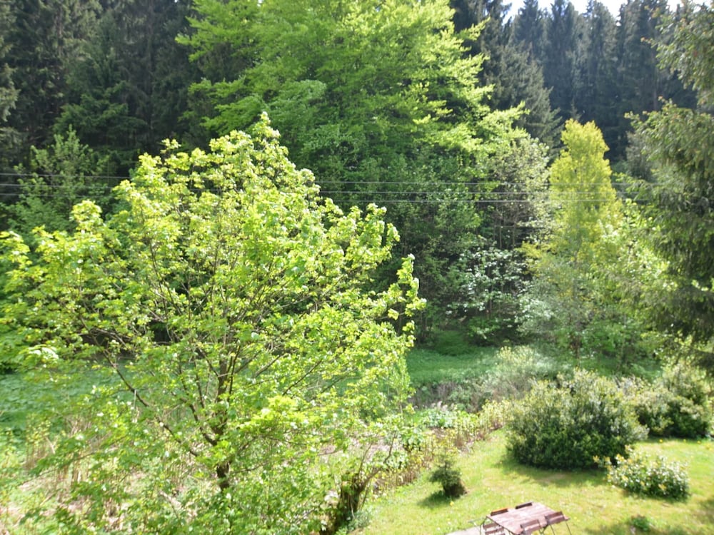 Luxurious Apartment in Heubach Germany in the Forest