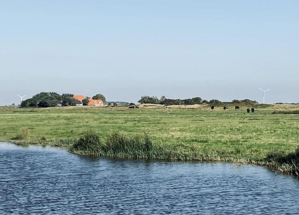 Cozy Holiday Home in Callantsoog near Groote Keeten