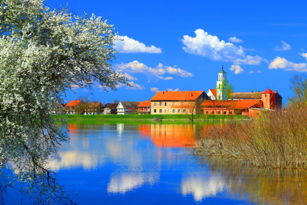Photo 27