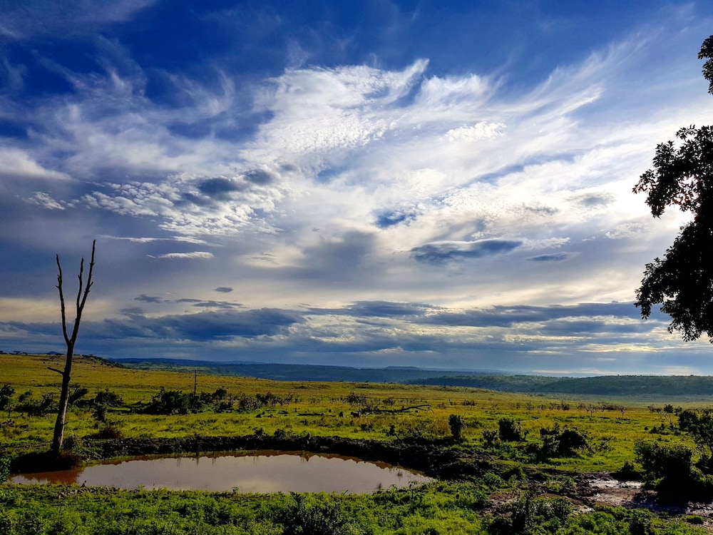 Nambiti Plains Private Game Lodge