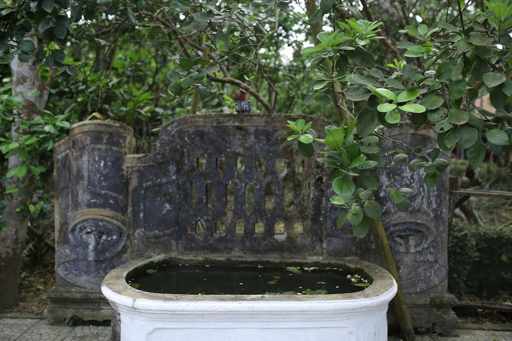 Thuy Bieu Homestay