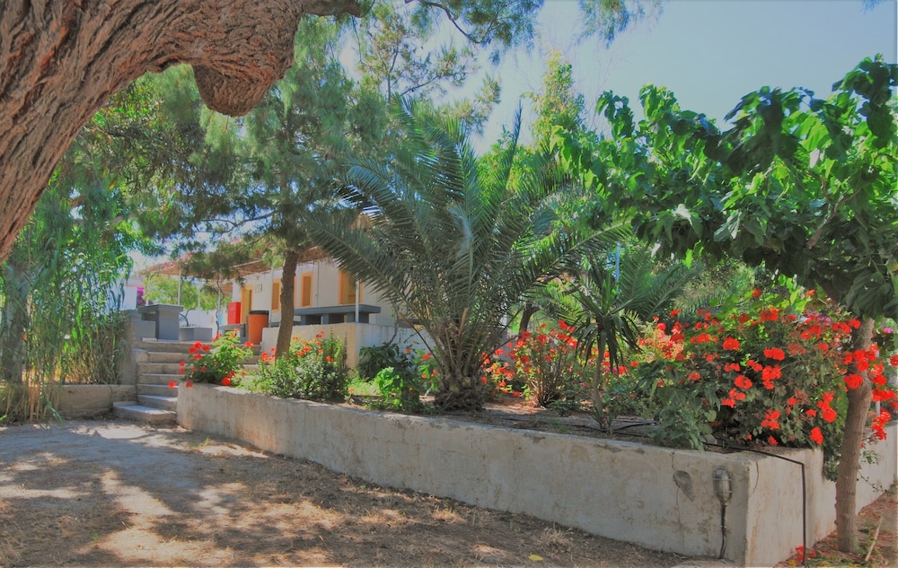 Santorini Camping & Hostel