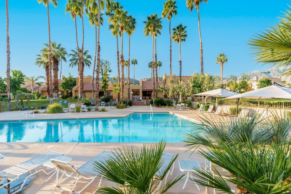 Paradise at the Pointe
