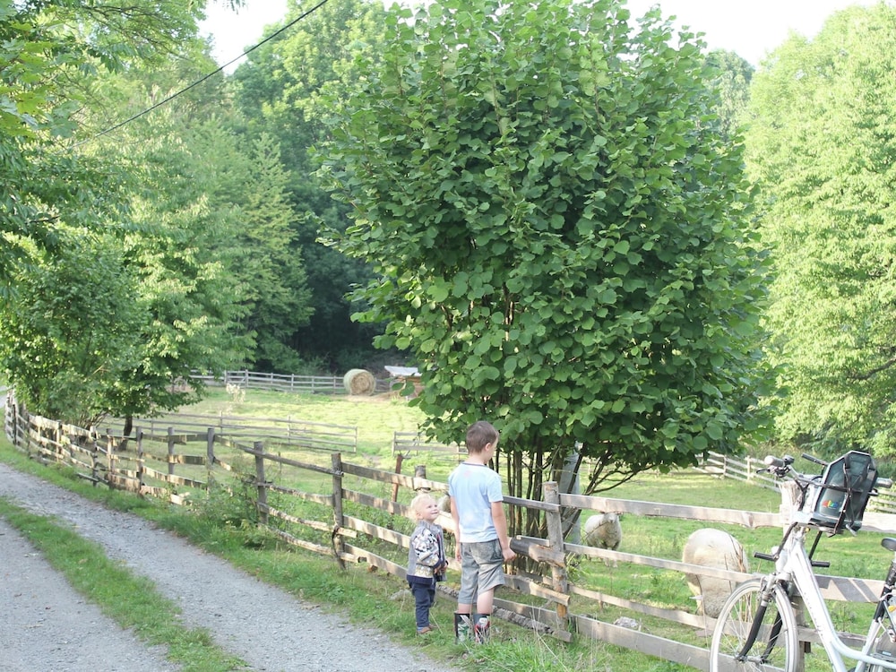 Photo 23
