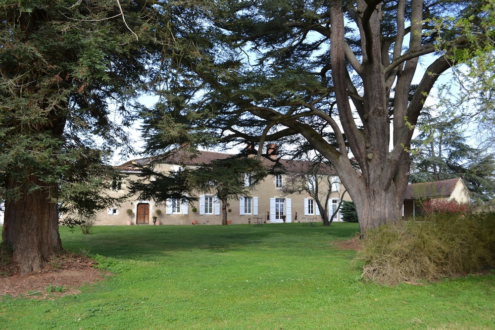 Photo 19