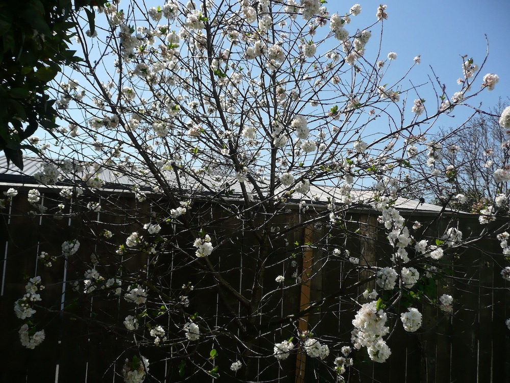 Photo 56