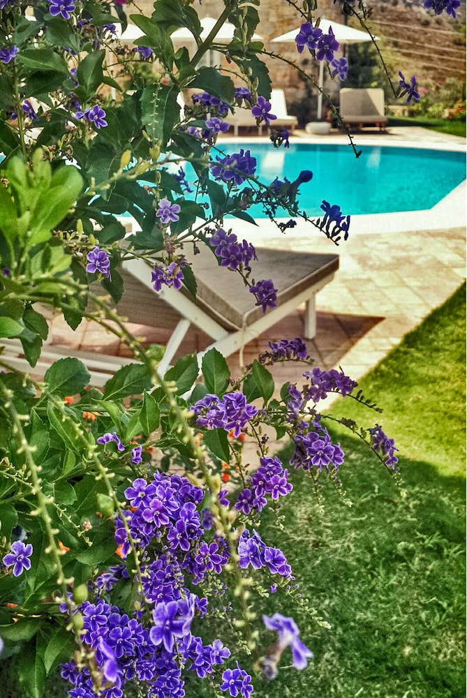 Swan Lake Butik Otel - Sadece Yetişkinler - Image 10