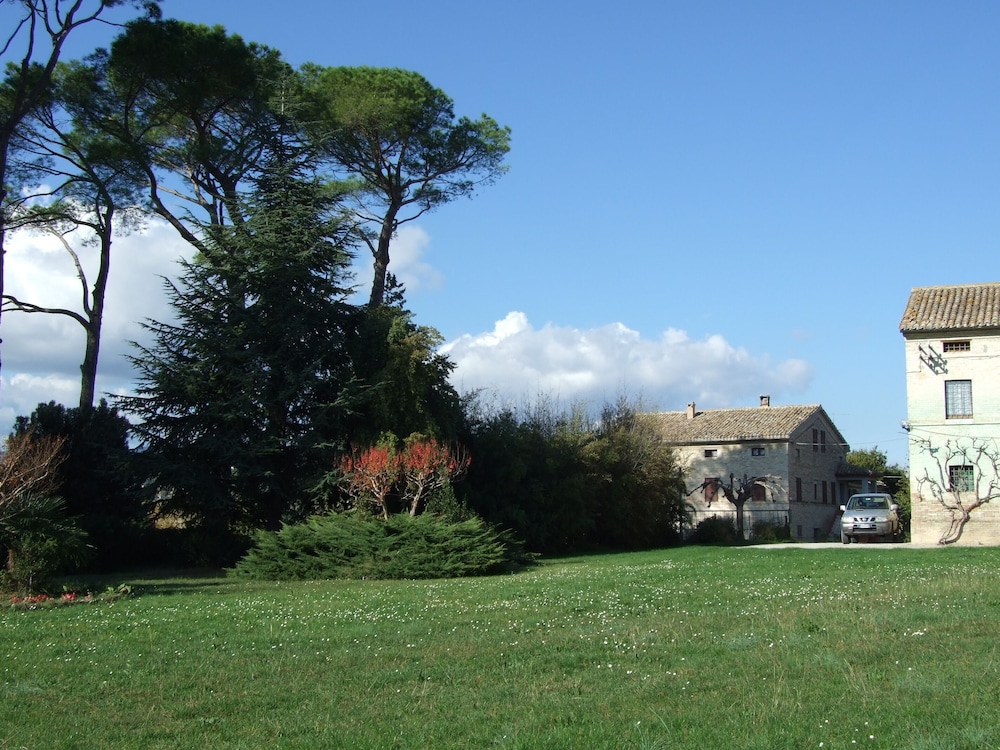 Photo 42