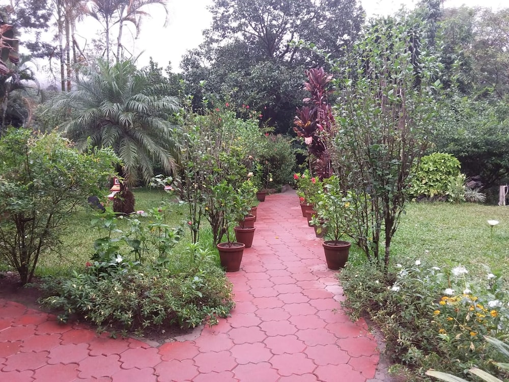 Photo 15