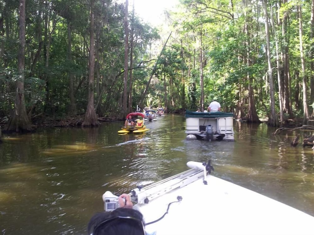 Mount Dora Cottages
