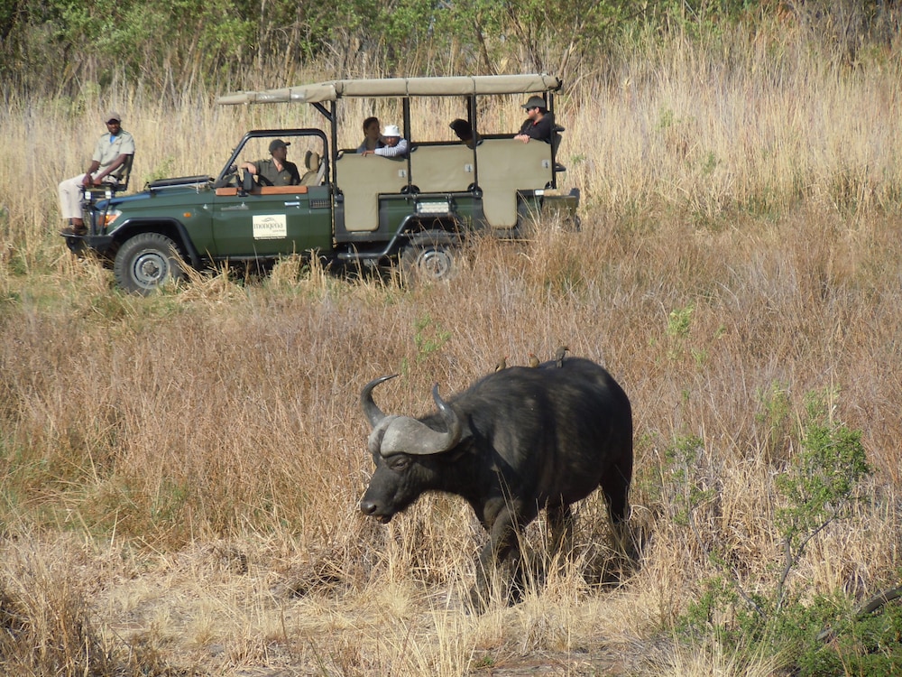 Mongena Game Lodge