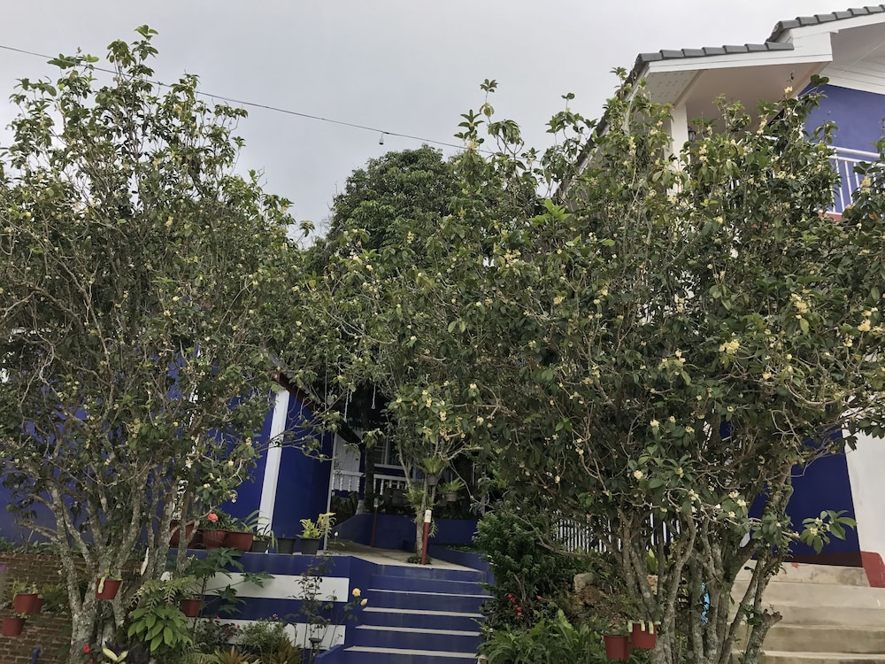 Shin Sane Guesthouse