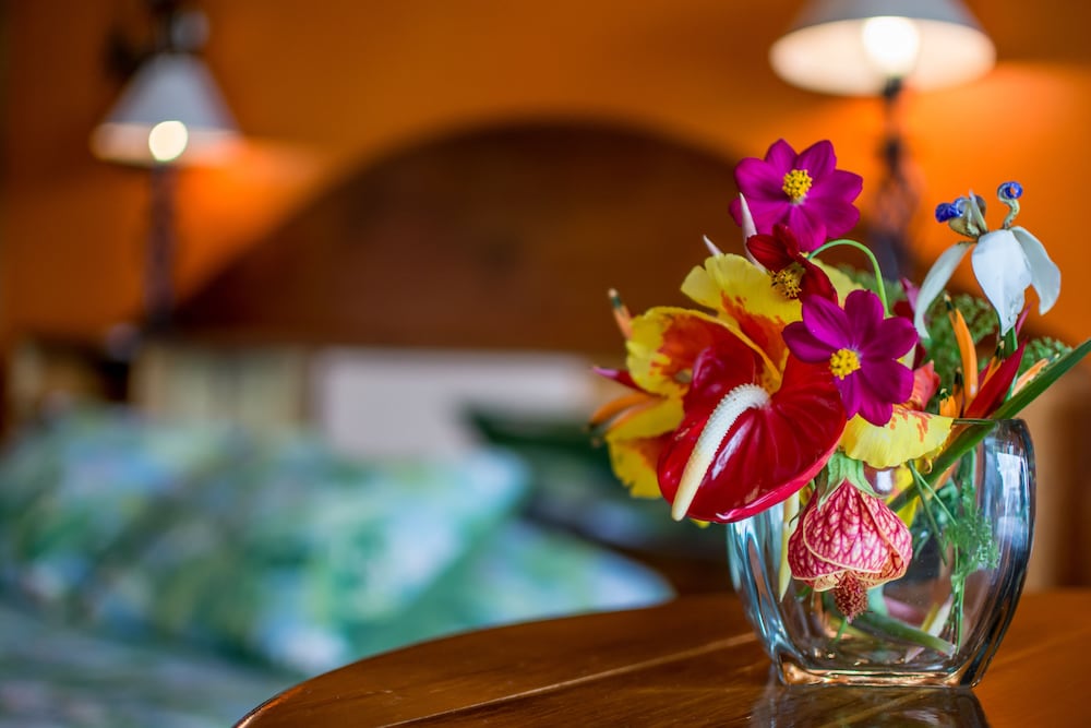 Nepenthe B&B