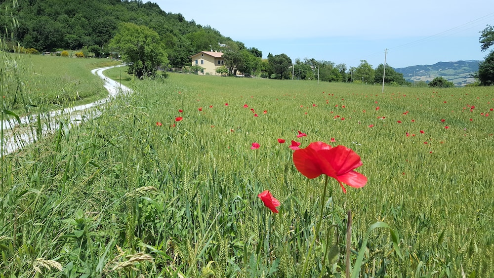 Bed & Breakfast La Valle
