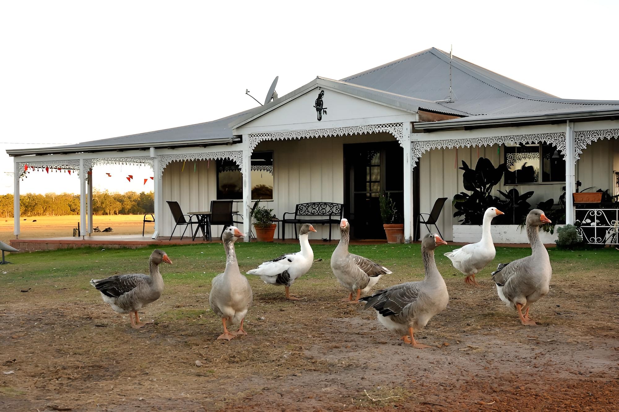 Wilga Farm Stay