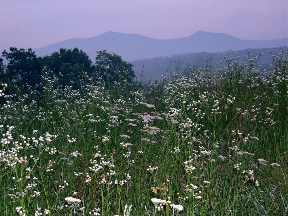 Lexington Vacations - DeHart Cabin - Property Image 18