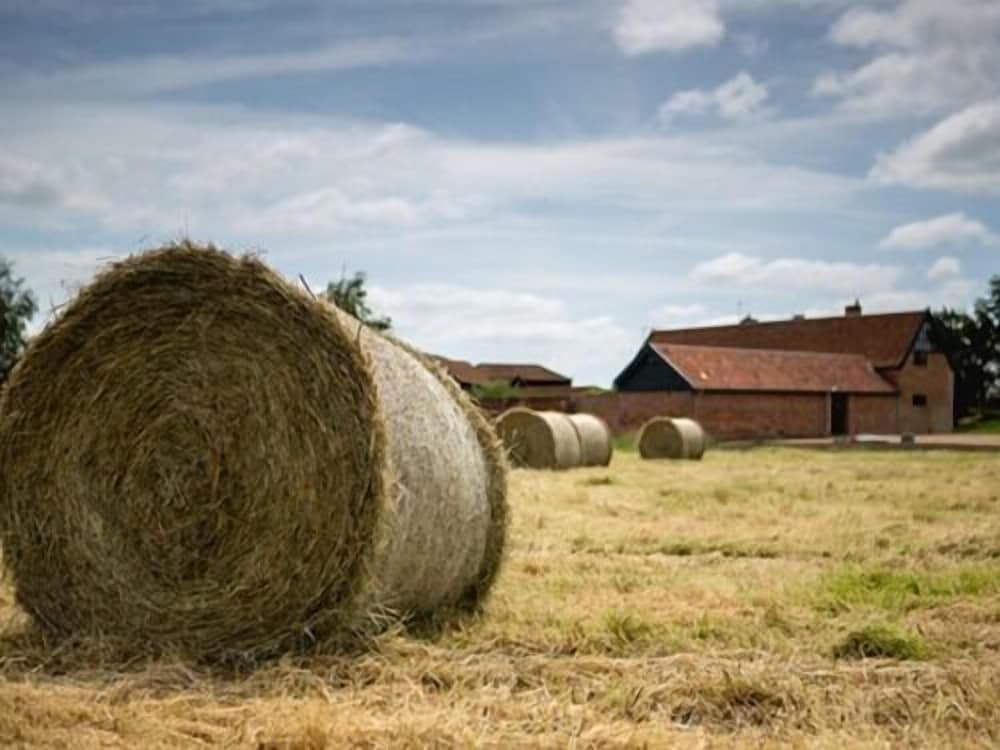 Trustans Barn