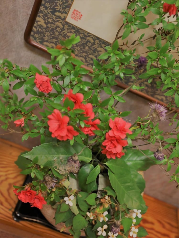 Photo 39