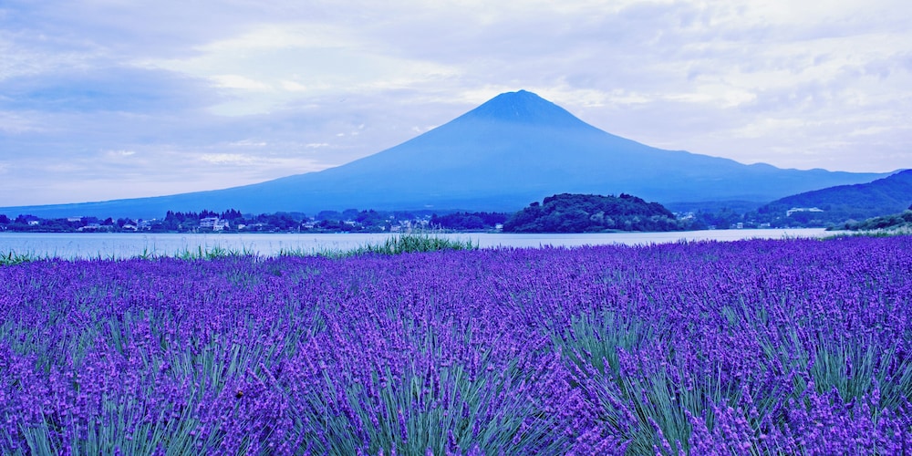 Photo 40