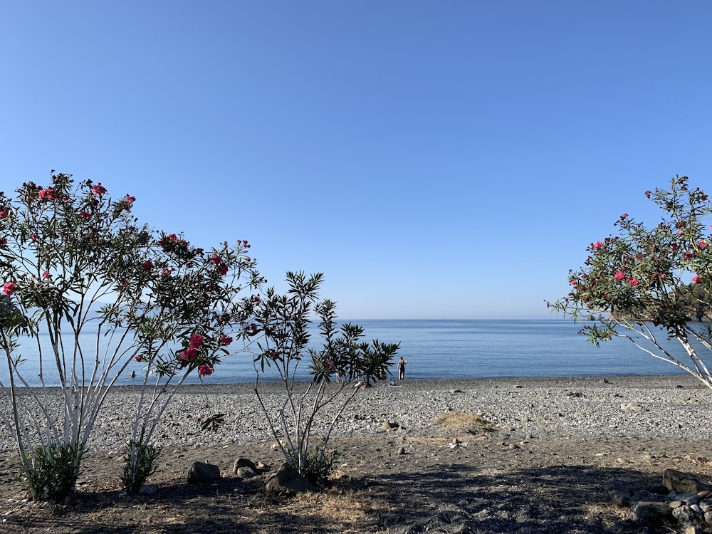 Layla Gocek - Yetişkinlere Özel - Image 113