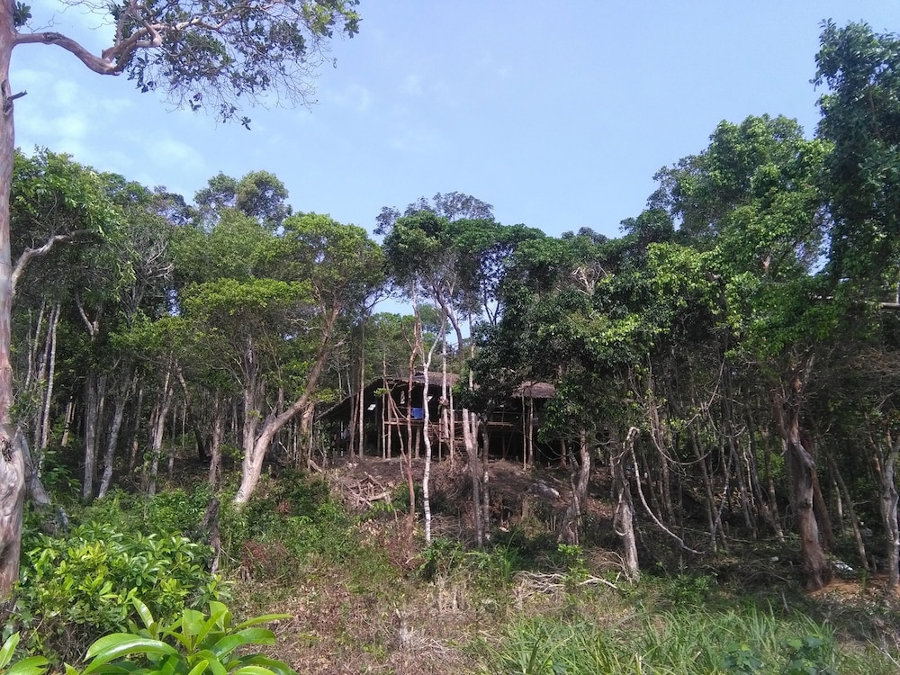Driftwood Hostel and Bungalows