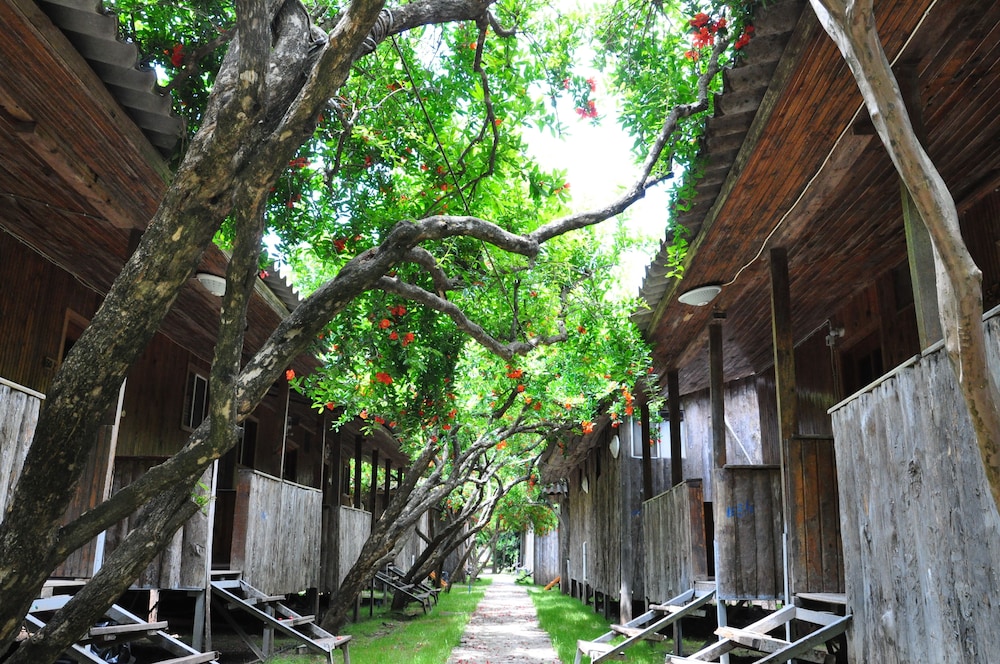 Turkmen Tree Houses
