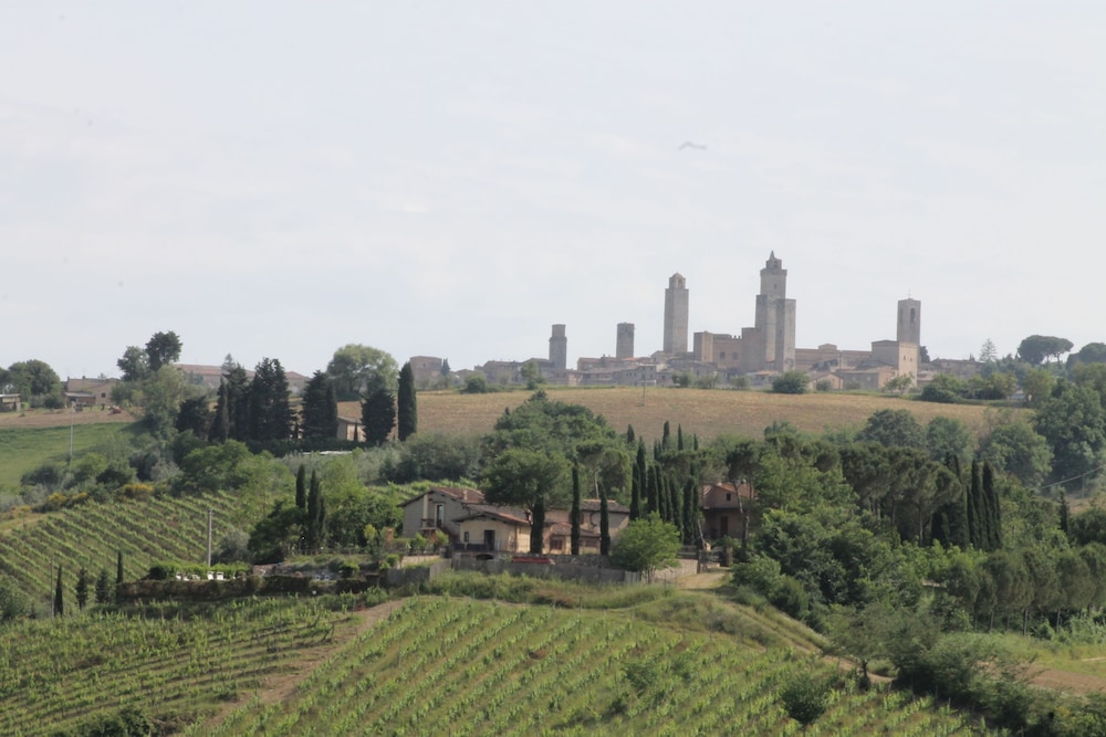 Podere Vigna del Sole