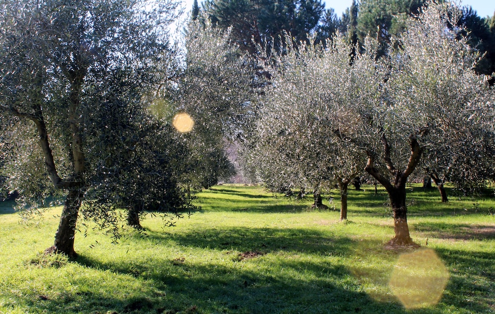 Molino le Gualchiere