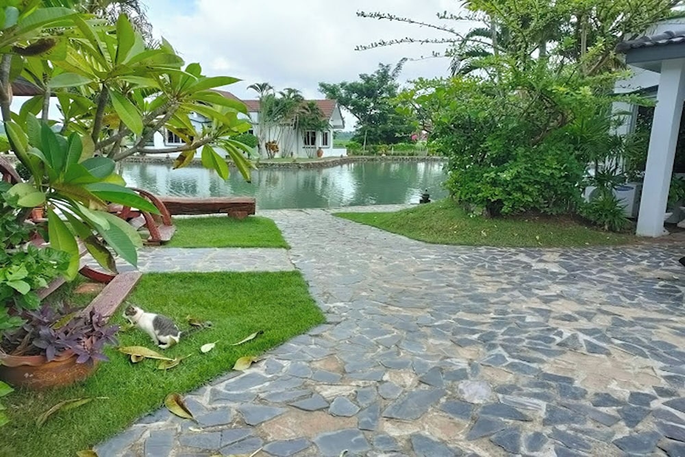 Photo 31