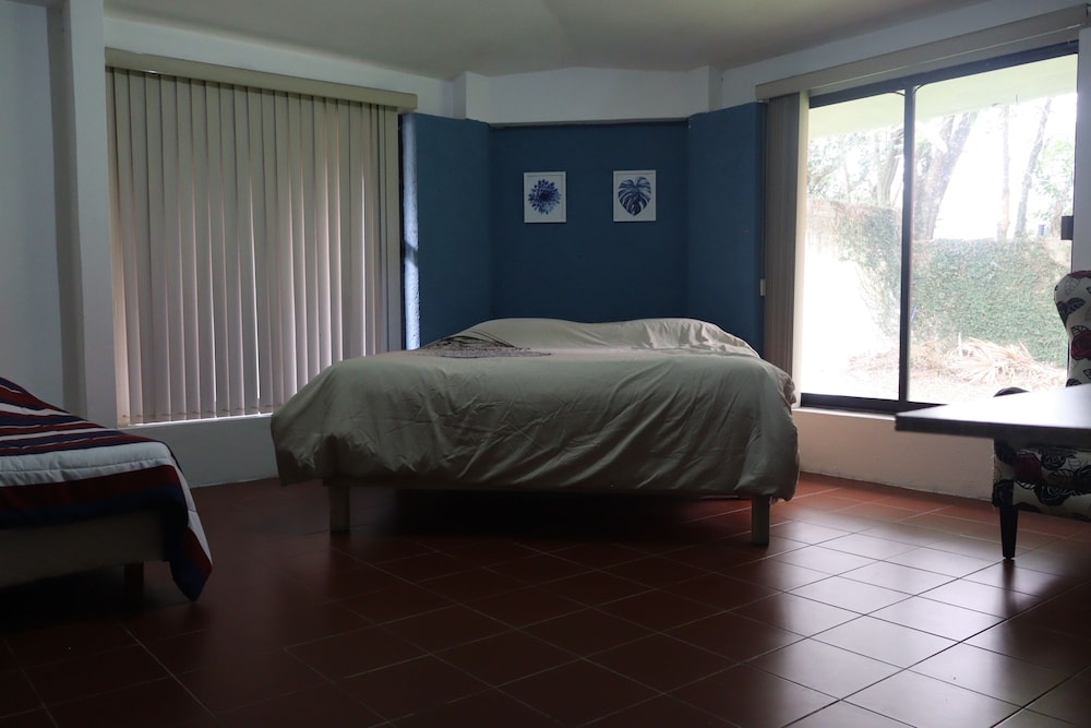 House of Ficus Banderilla,veracruz-mexico view 4