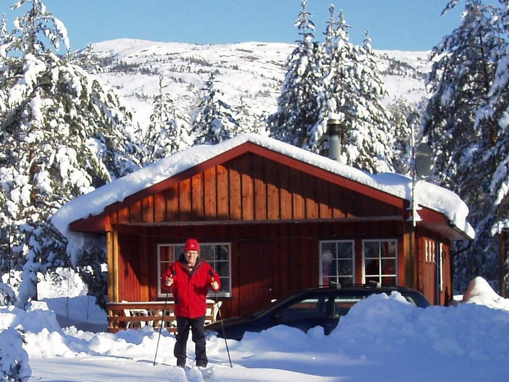 8 Person Holiday Home in Vrådal view 2