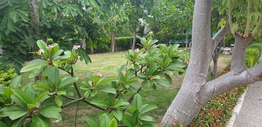 Photo 22