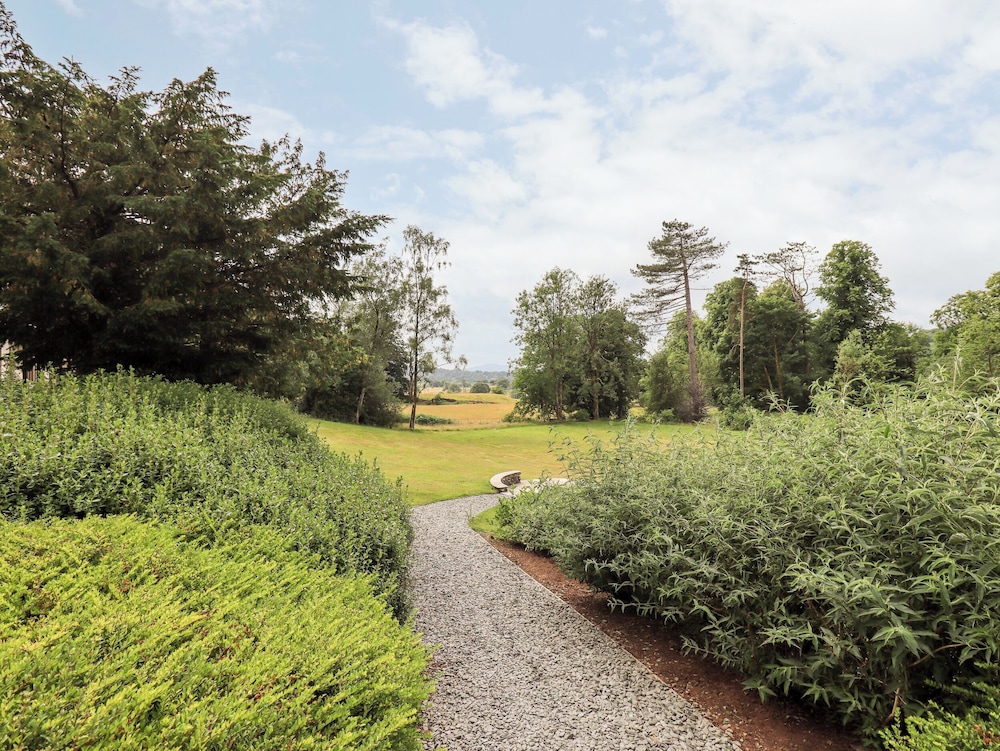 Deer Wood At Applethwaite Hall