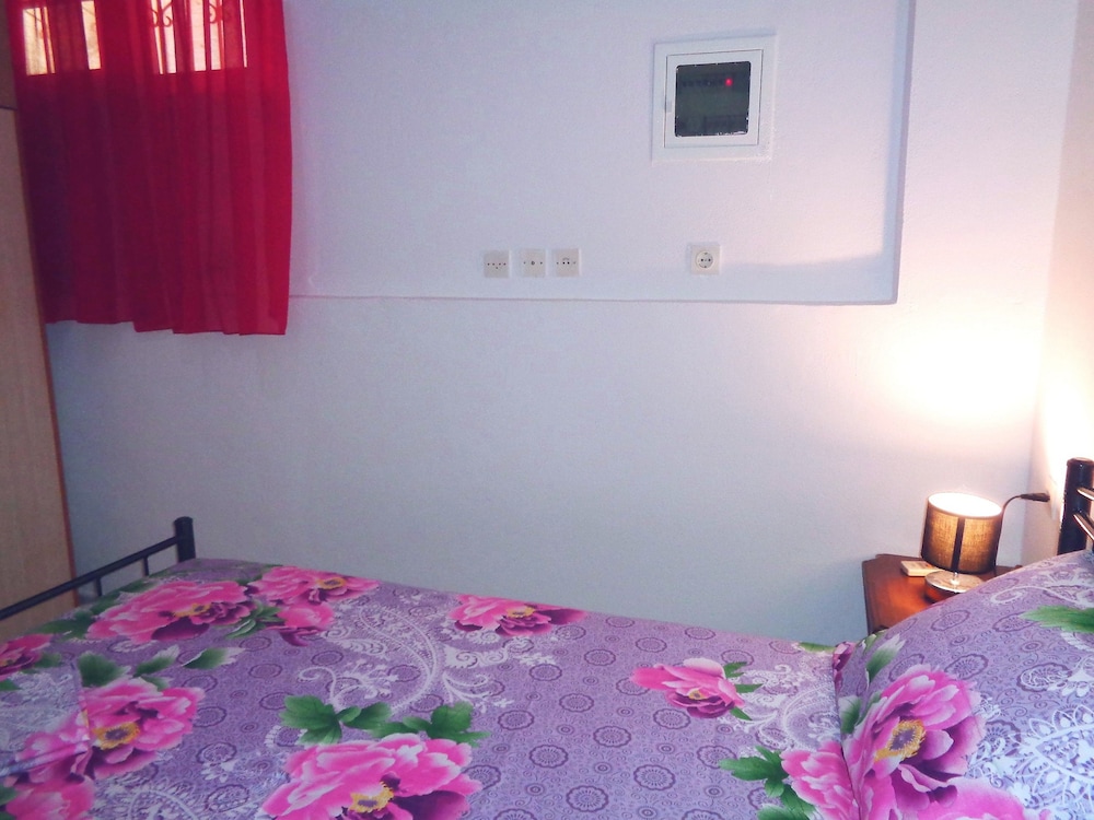 Elena's House