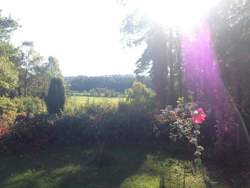 Photo 37