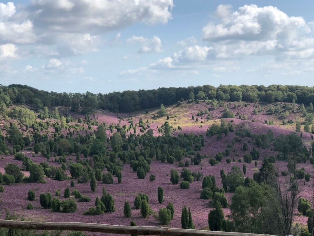 Heidetraum in der Pension Heidetraum