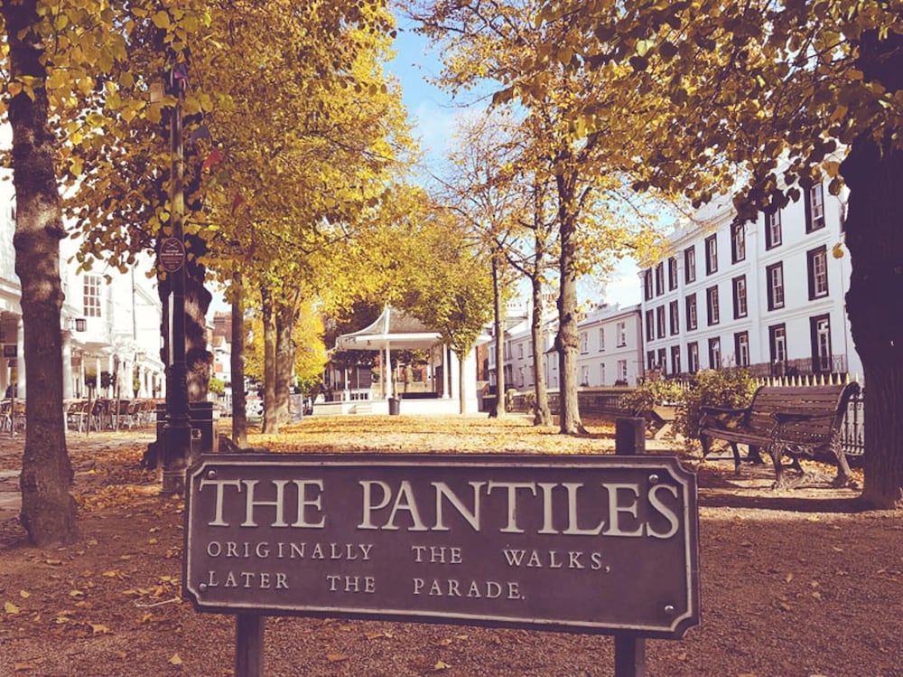 Royal Tunbridge Wells Vacations - Stunning Large 1-bed Apartment in Tunbridge Wells - Property Image 4