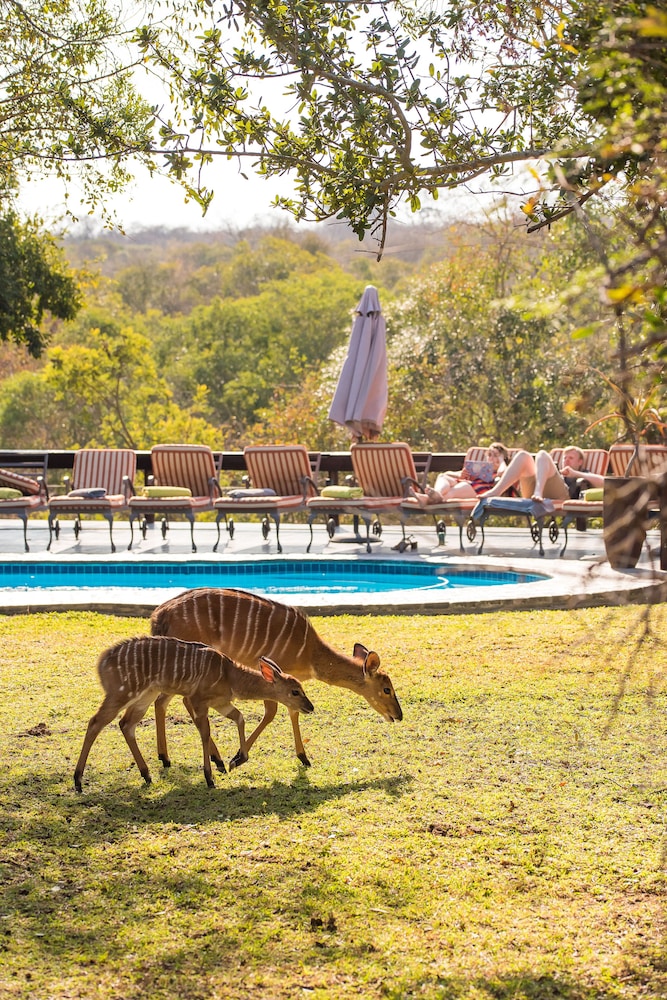 Waterbuck Game Lodge