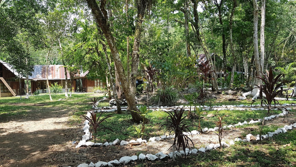 Photo 45