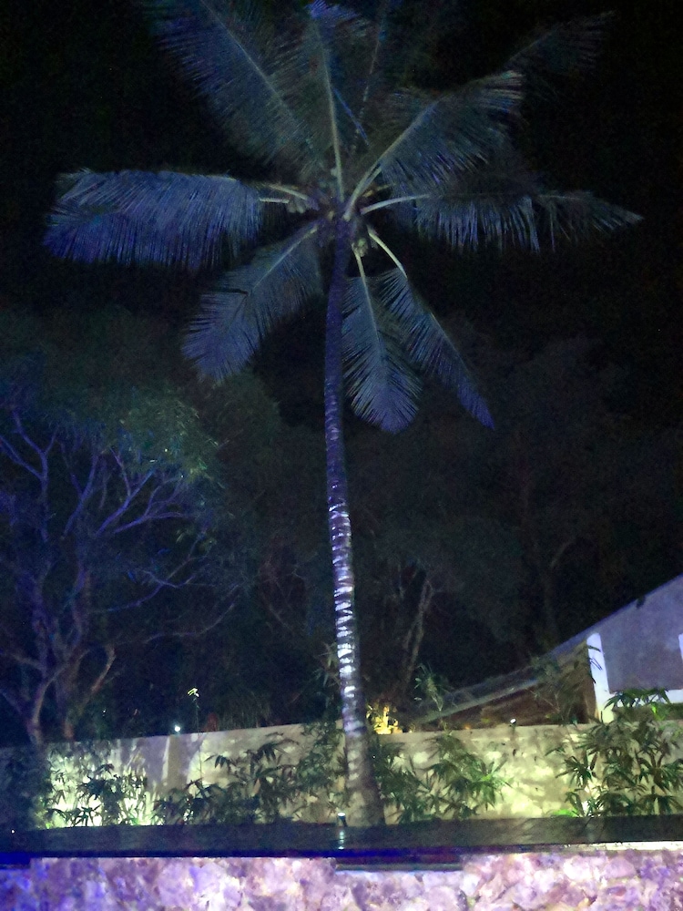 Jamboland-Diani
