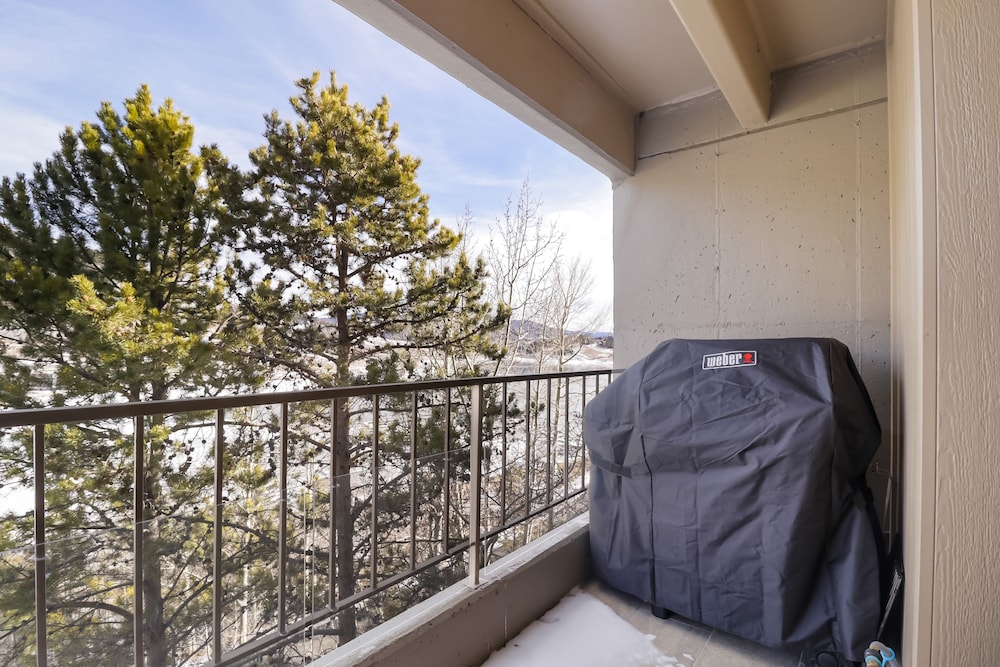 317 Lodge At Lake Dillon 1 Bedroom Condo