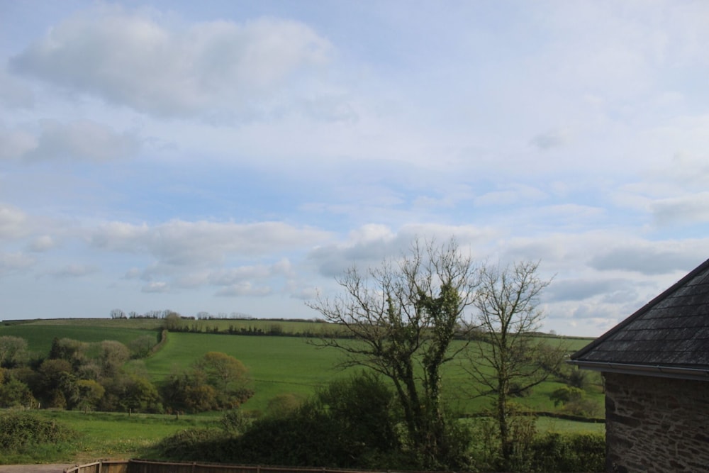 Photo 41