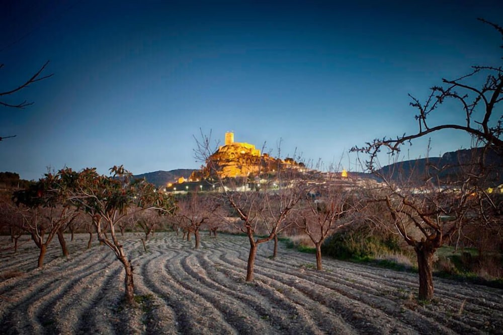 Hotel Rural Castillo de Biar