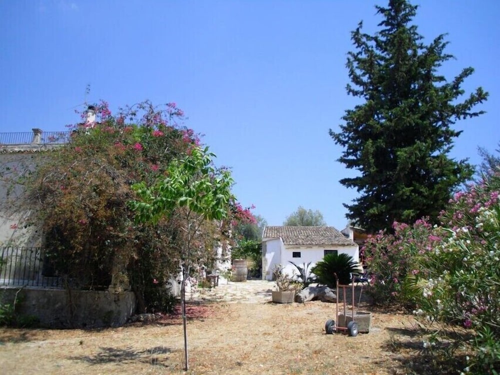 Photo 41