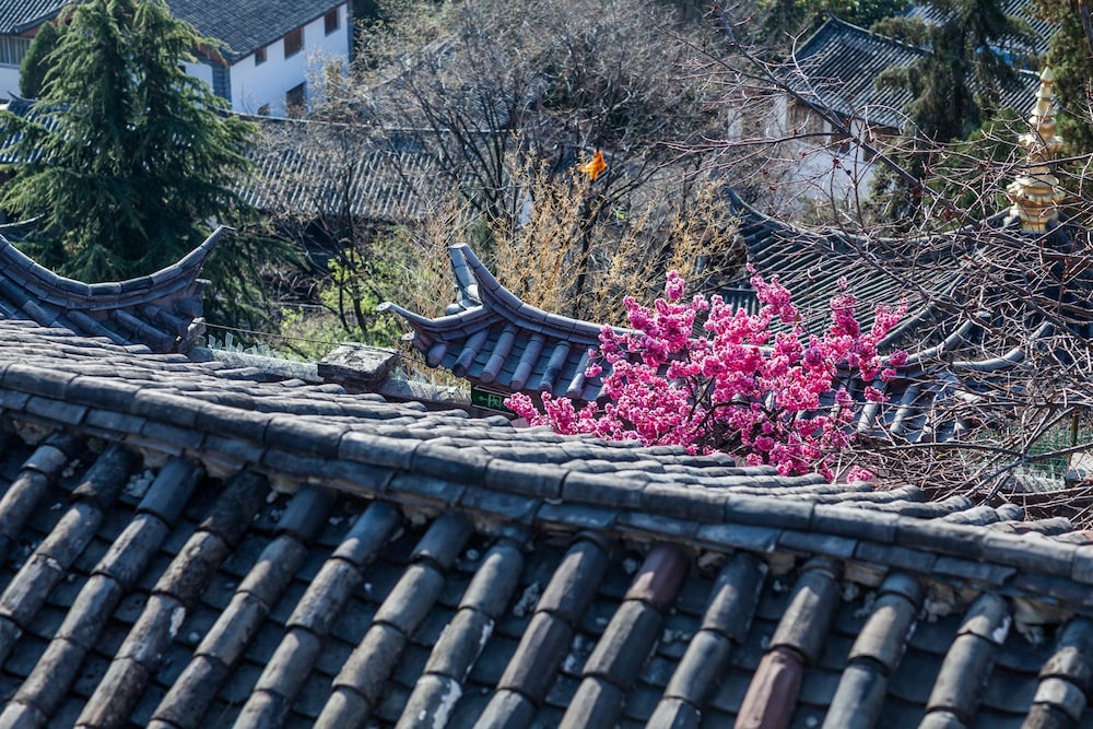 Blooming Island Banshan Yuan