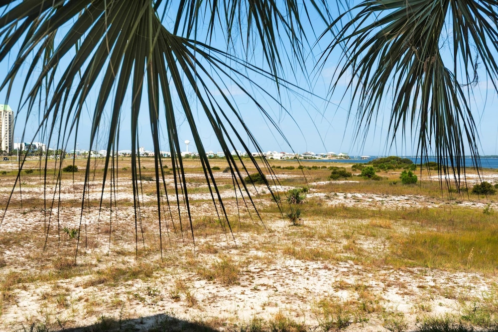Gulf Island 314