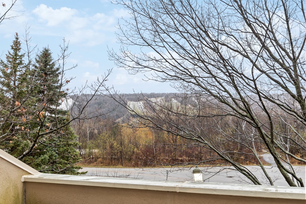 Wintergreen Condos
